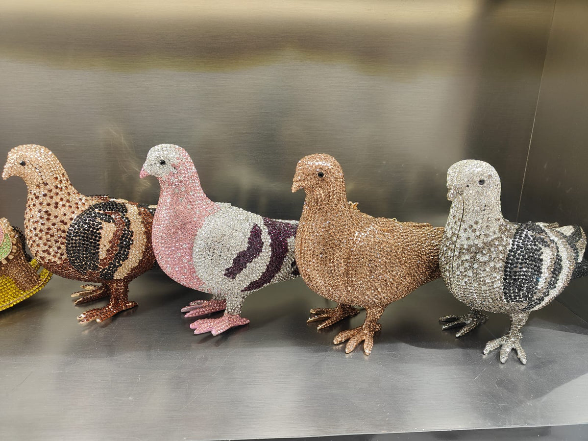 Pigeon