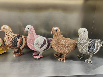 Pigeon