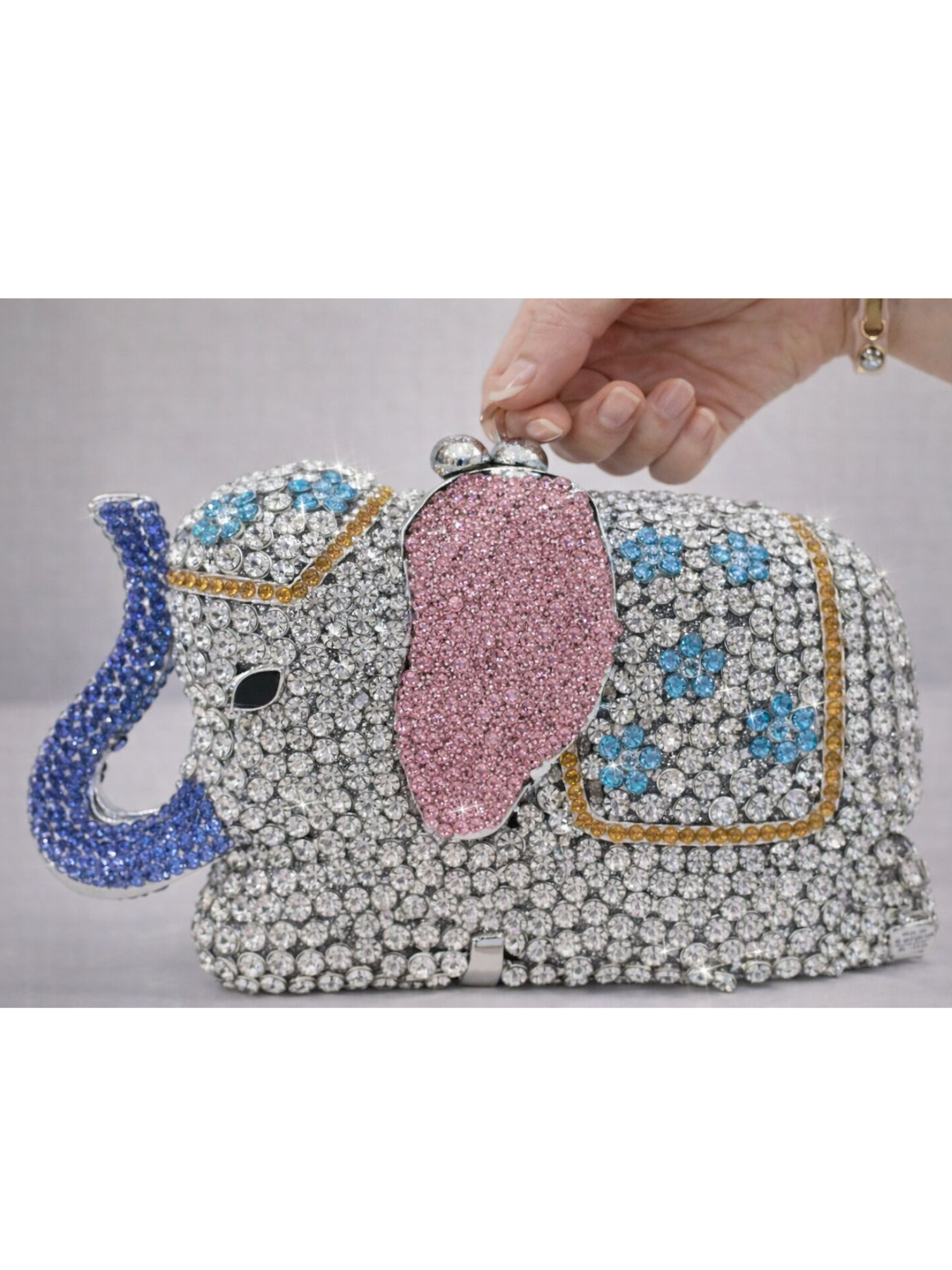 Gajraaj Sparkle Clutch