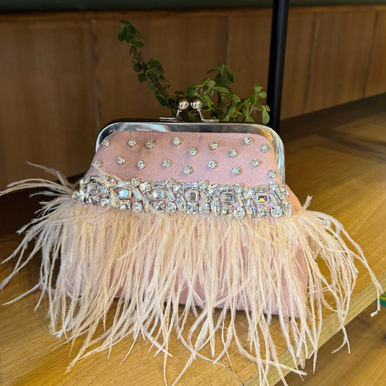 Champagne Blush Feather Clutch