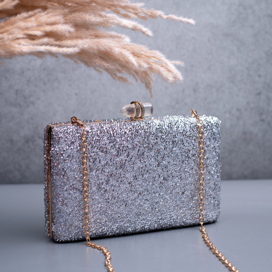 Silver sequins Clutch